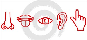 Sense organs: smell, sight, hearing, touch, taste icon vector, illustration